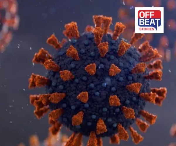 દિલ્હીમાં કોરોનાથી 2ના મોત!